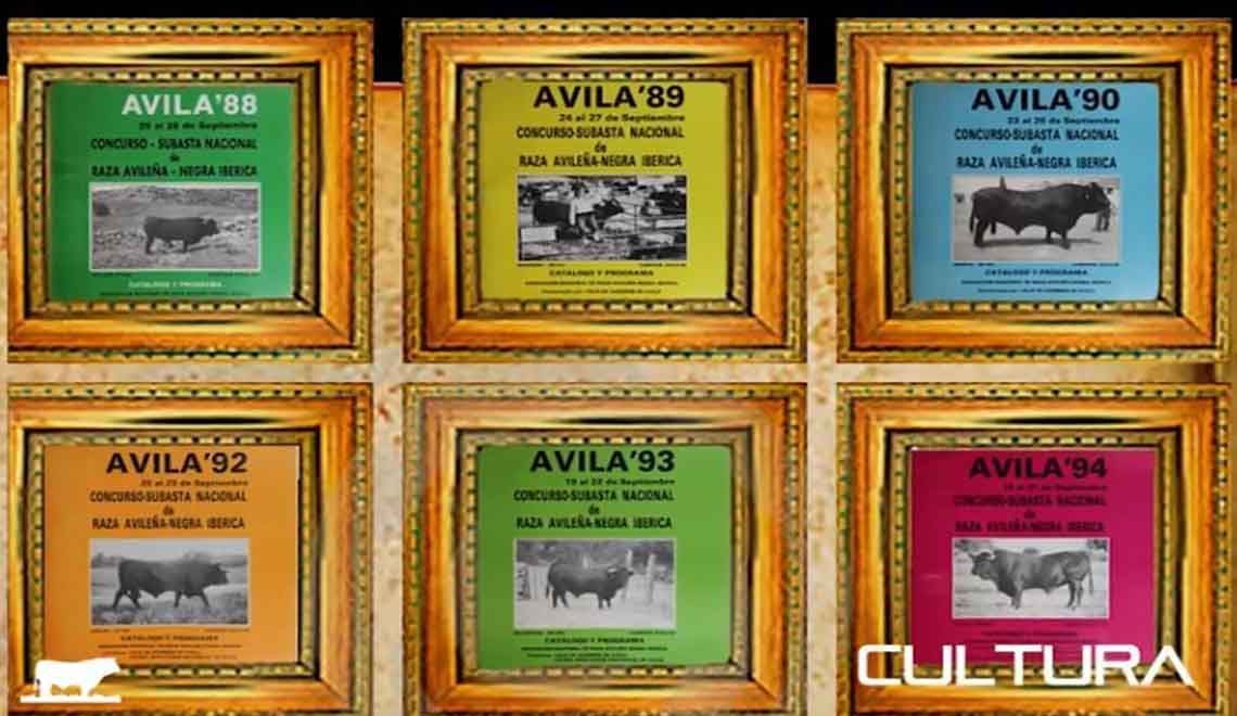 La Raza Avileña lanza un vídeo para conmemorar el 40 aniversario de la ...